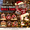 ACT GLITTER CHRISTMAS COLLECTOR HQH